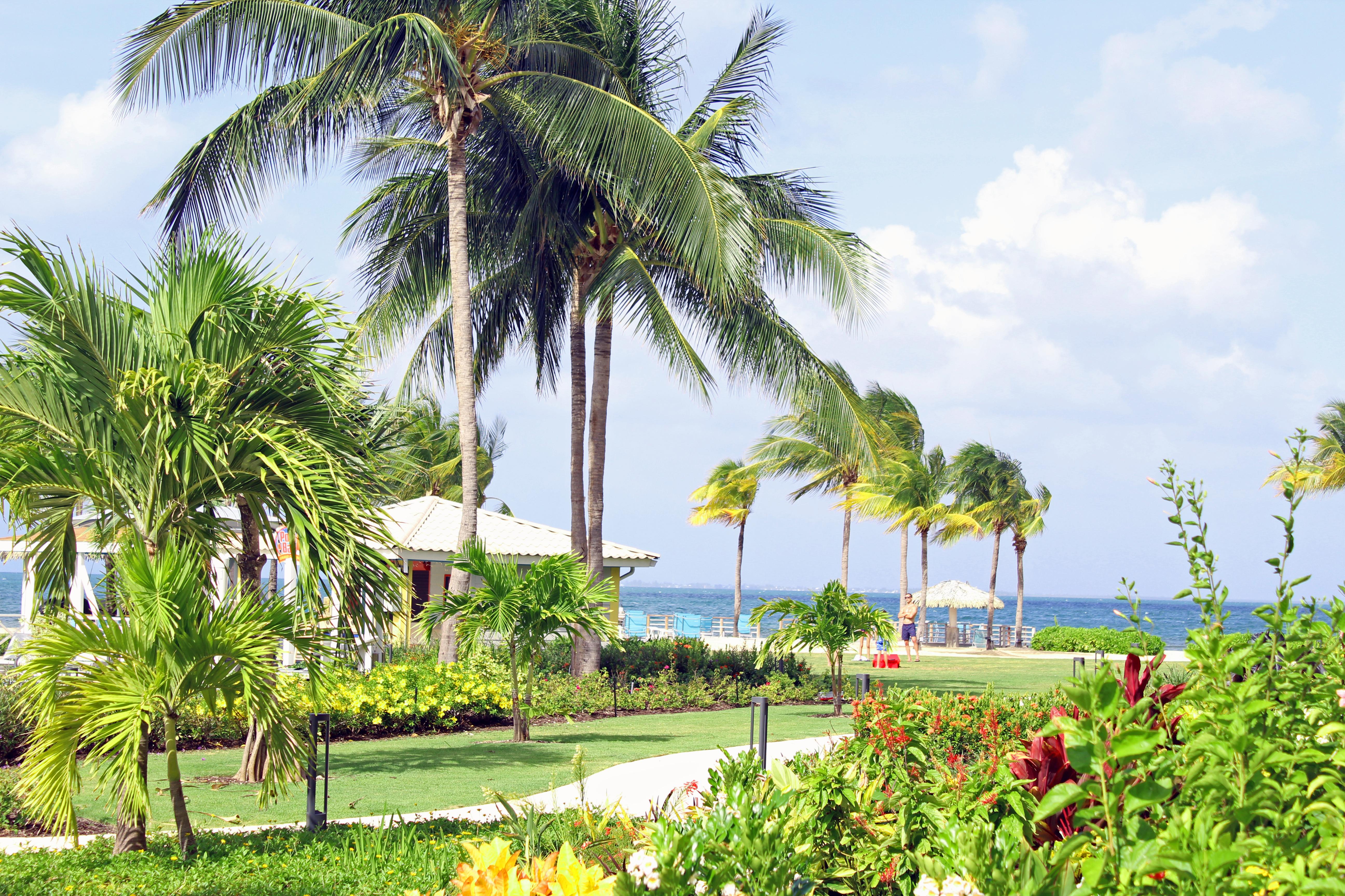 The Grand Caymanian Resort Τζώρτζταουν Εξωτερικό φωτογραφία