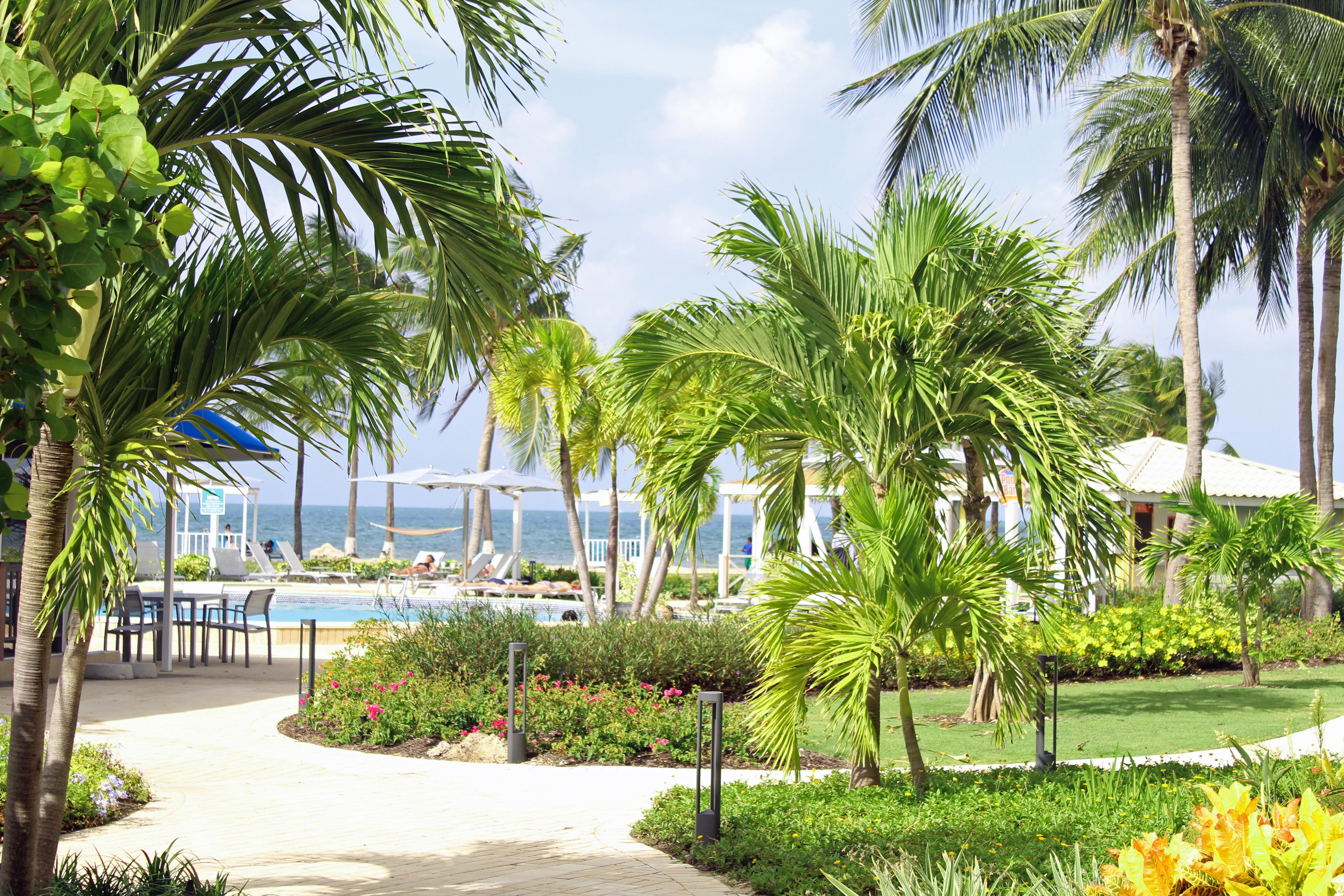 The Grand Caymanian Resort Τζώρτζταουν Εξωτερικό φωτογραφία
